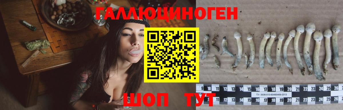 магазин  наркотиков  Вход с VPN  Среднеуральск  Псилоцибиновые грибы Magic Shrooms  Галлюциногенные грибы Magic Shrooms 